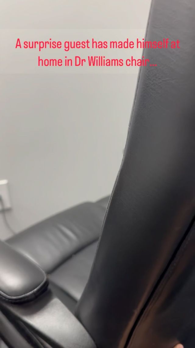 Rivalry week #pennstate #ohiostate